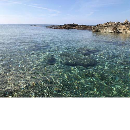 Villa Mameli b&b