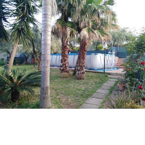 Villa Mandarino