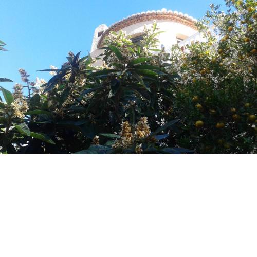 VILLA MARIA