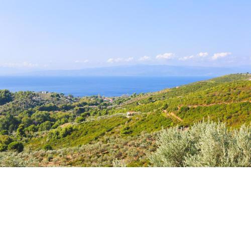 Villa Marigo