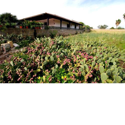 Villa Marilena indipendente 6-8 ospiti