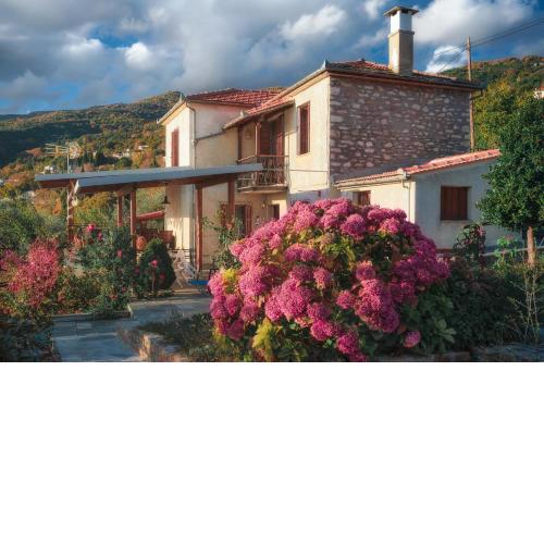 Villa Marina, Βίλλα Μαρίνα