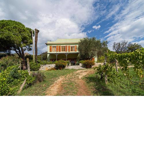 Villa Medina