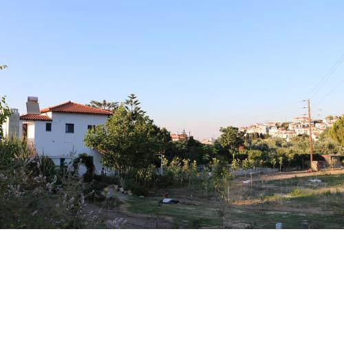 VILLA Michalis