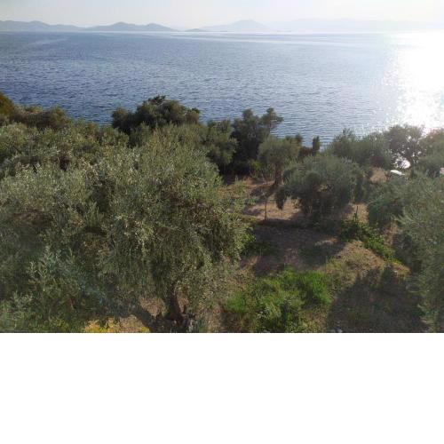 Villa Miltiadis GreeceFiloxenia