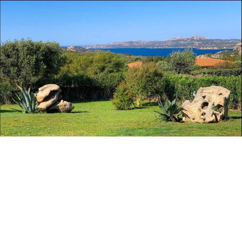 Villa Minerva Palau
