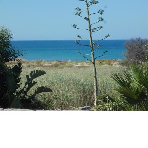 Villa Miramare