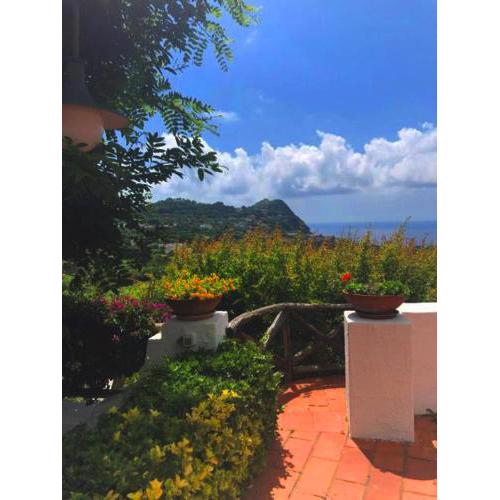 Villa moma piscina e giardino panoramico