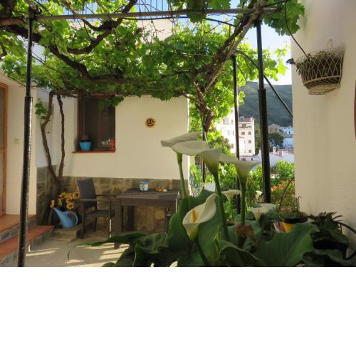 VILLA MONTE