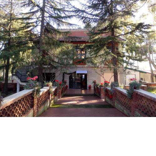 Villa Morgante B&B