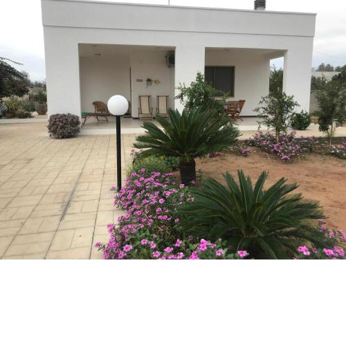Villa “Musci”