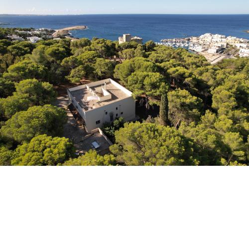 Villa nella Pineta