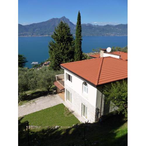 Villa nell'uliveto
