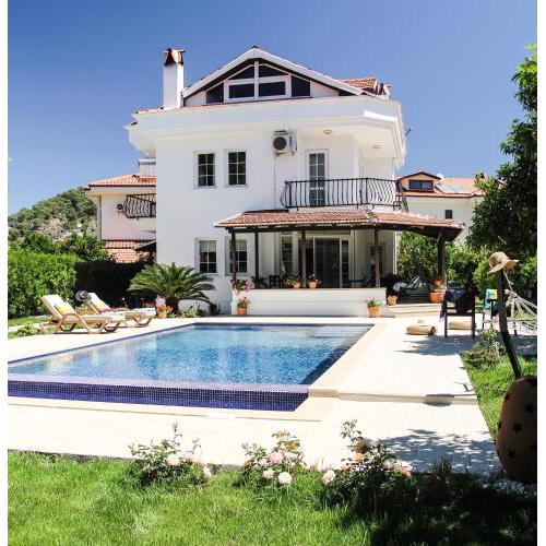 Villa Nest