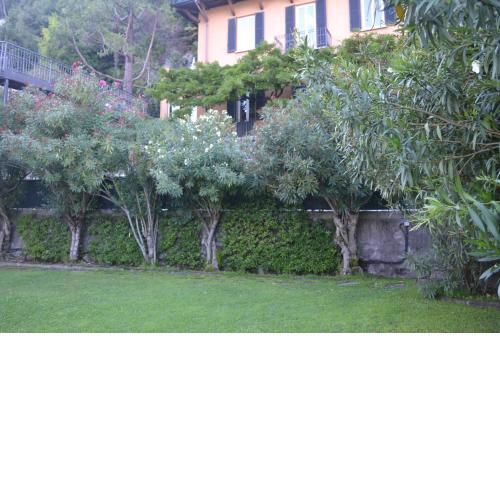 Villa Nina Relais Boutique B&B