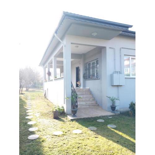 Villa No:7 Sapanca