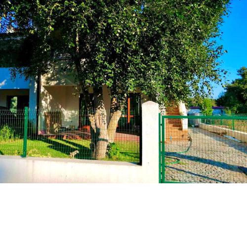 Villa Oasis етаж1