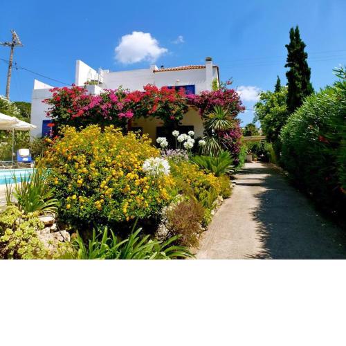 VILLA OASIS PLAKA Kreta