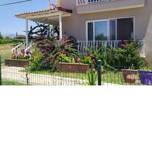 Villa OLIVA