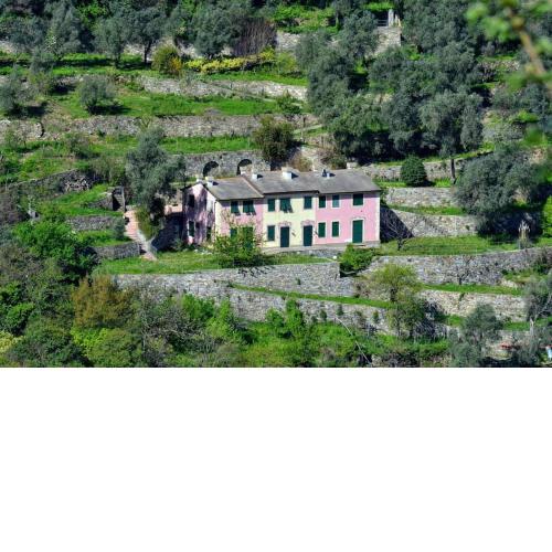 Villa Olivari - apt il Melograno