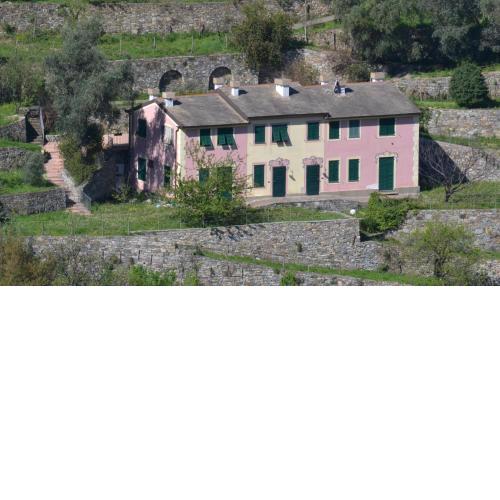 Villa Olivari - apt la Salvia