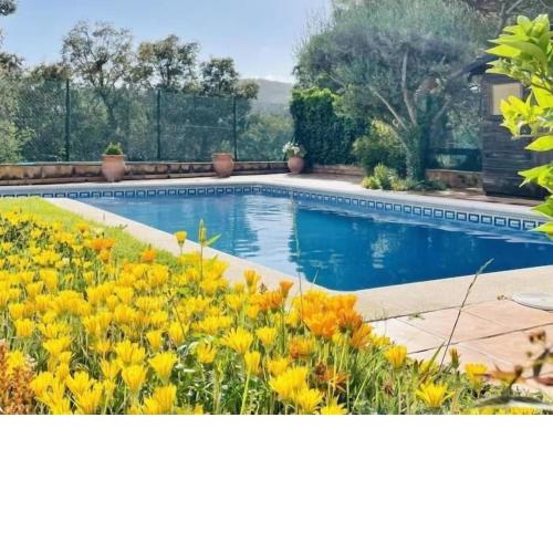Villa Olivera by Costabravaway