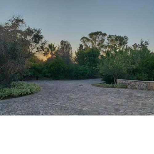 Villa Olivia