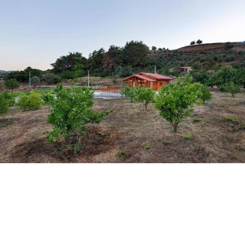 Villa Olymposgarden