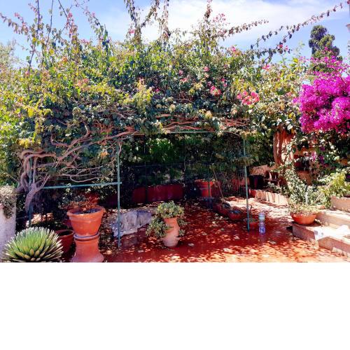 Villa Ondina T Carloforte