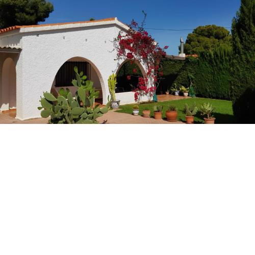 VILLA (PALILLO 10)