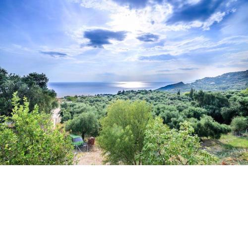 Villa Panorama