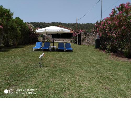 Villa Paradise