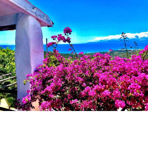 Villa Paradiso 1