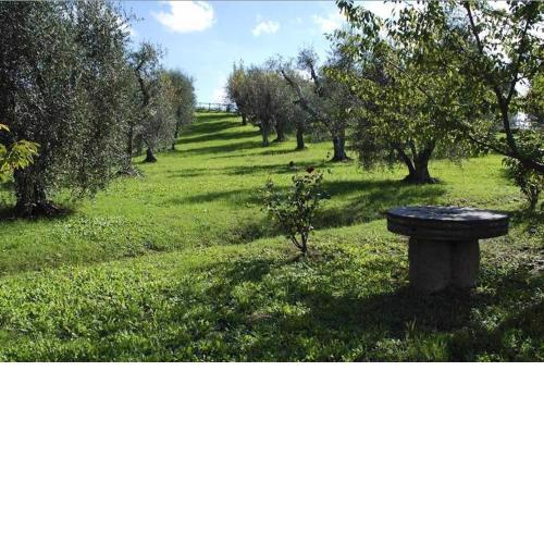 Villa Podere Torre