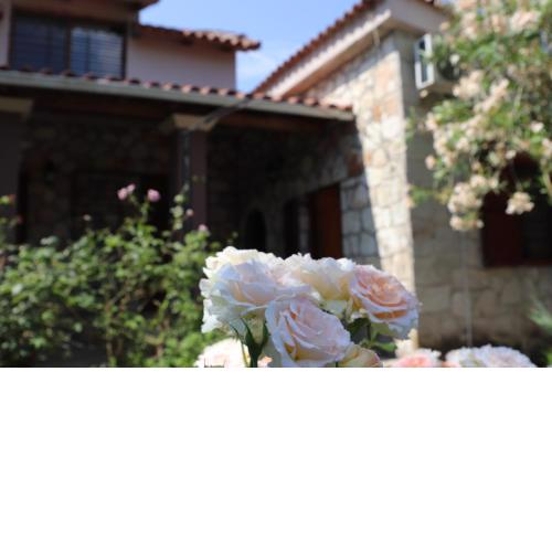 Villa Polytimi
