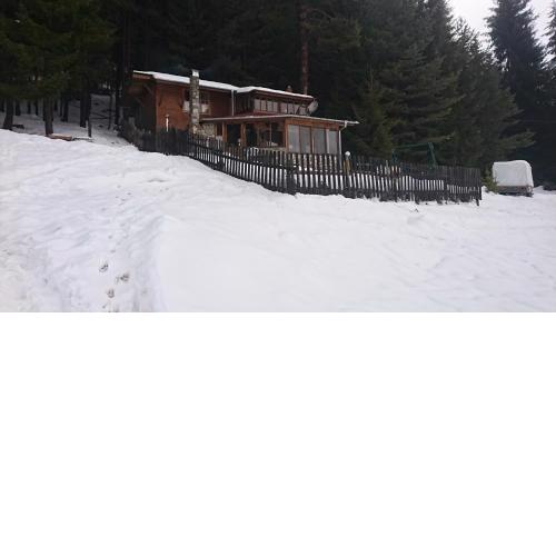 Villa Raiski kyt