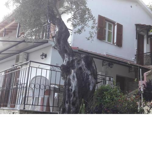 Villa Regina