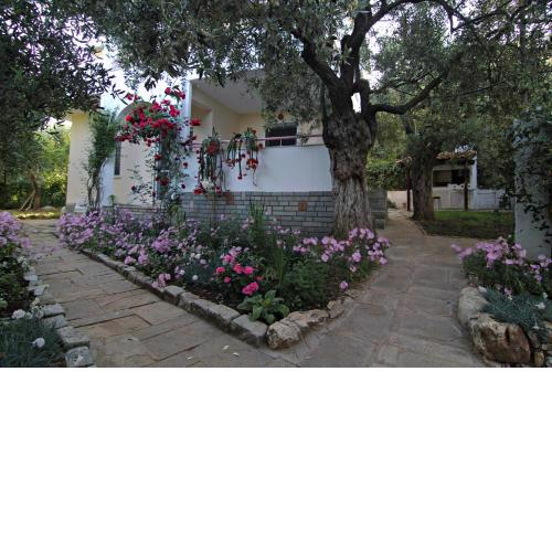 VILLA RELAX