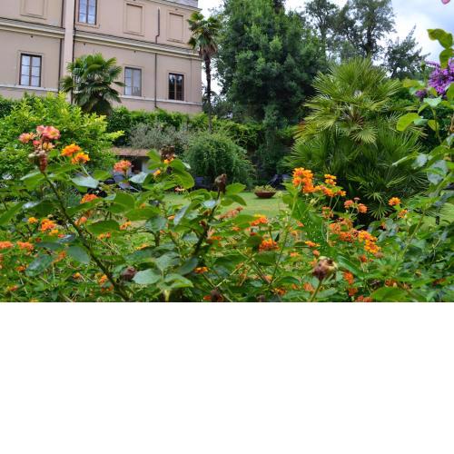 Villa Riari Garden