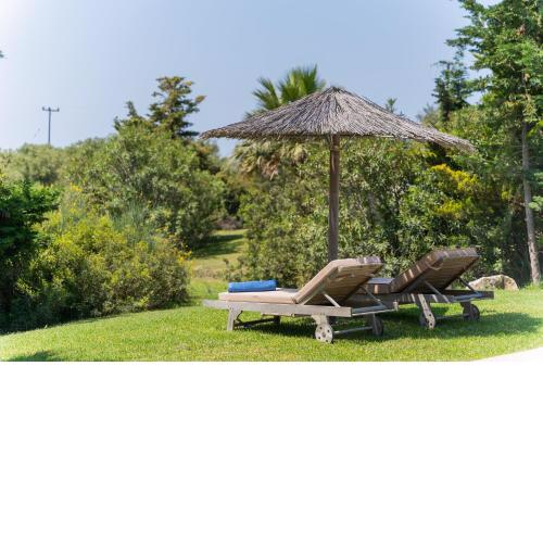 Villa Rodia