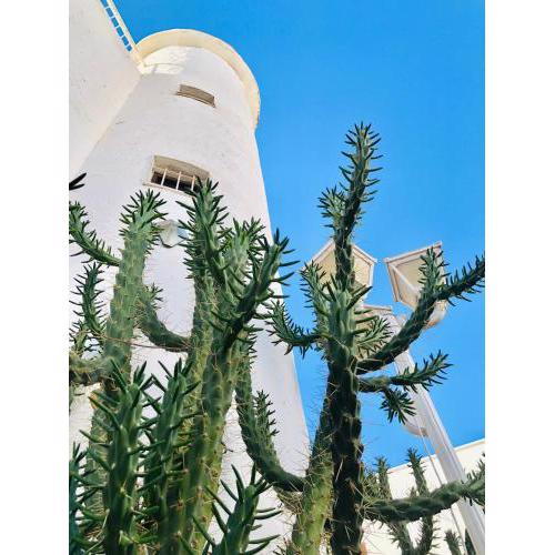 Villa Sa Torre