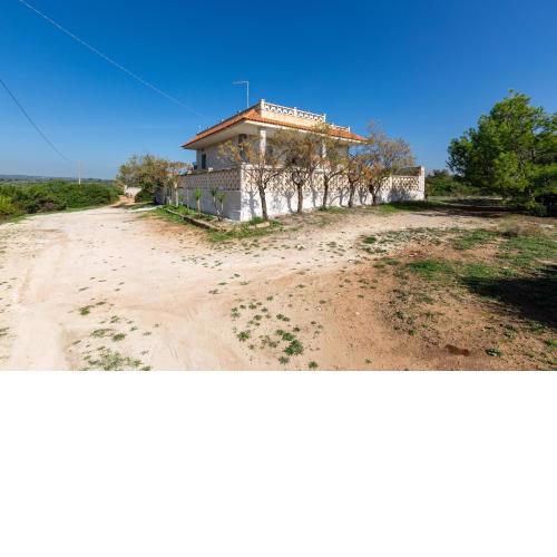 Villa Santina by BarbarHouse