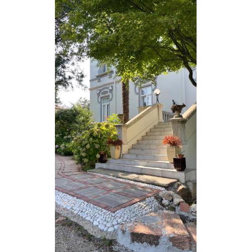 Villa Sapi