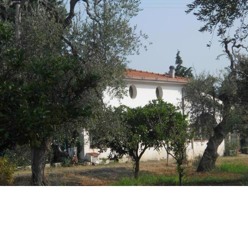 Villa Sara