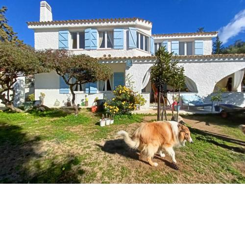 Villa Silmar
