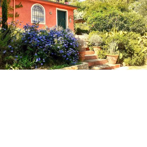 Villa Simo