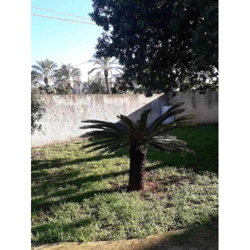 Villa singola a 1300 mt dal mare