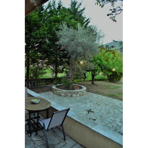 Villa skopelos