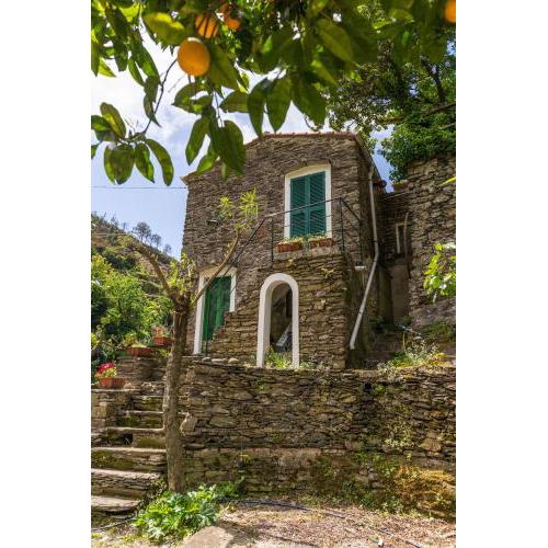 Villa Smith, Terre Marine
