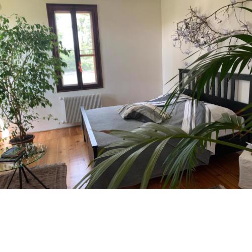 Villa Sofie